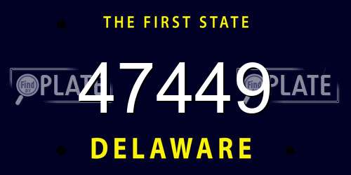 47449 Delaware License Plate