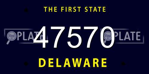 47570 Delaware License Plate