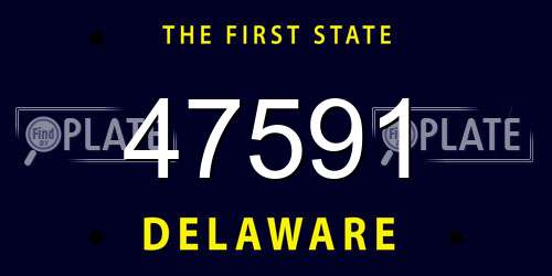47591 Delaware License Plate