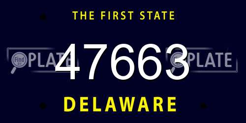 47663 Delaware License Plate