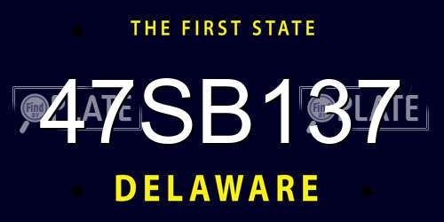 47SB137 Delaware License Plate