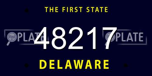 48217 Delaware License Plate