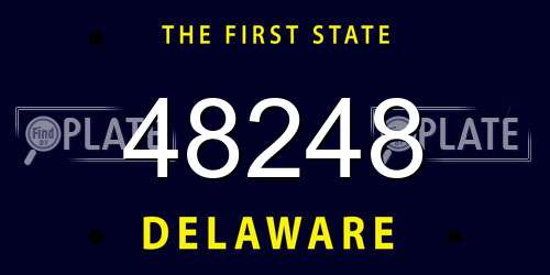 48248 Delaware License Plate