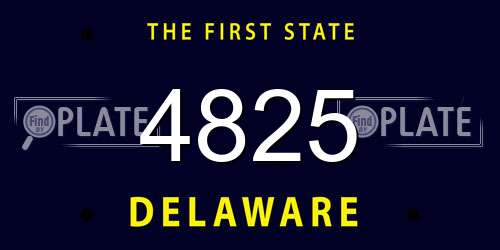 4825 Delaware License Plate