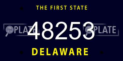 48253 Delaware License Plate