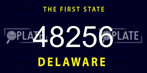 48256 Delaware License Plate