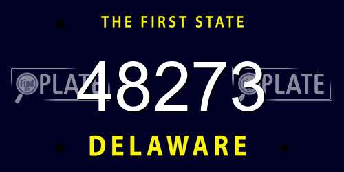 48273 Delaware License Plate