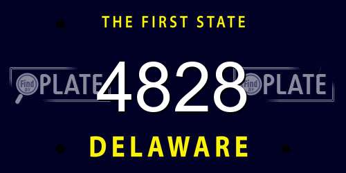 4828 Delaware License Plate