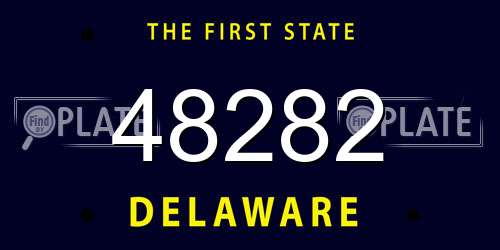 48282 Delaware License Plate