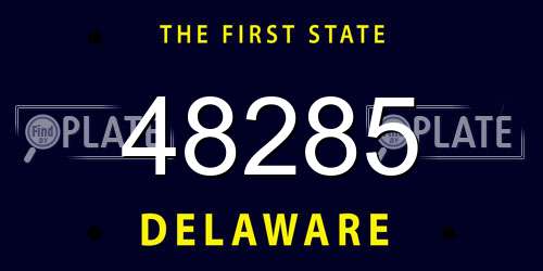 48285 Delaware License Plate