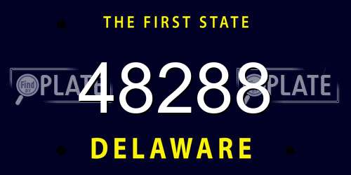 48288 Delaware License Plate