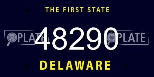 48290 Delaware License Plate