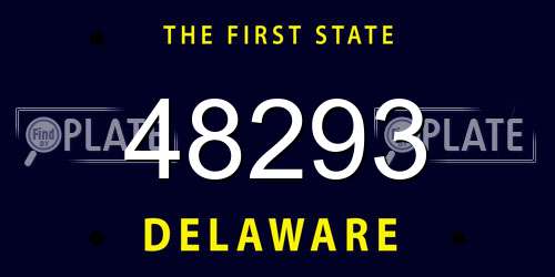 48293 Delaware License Plate