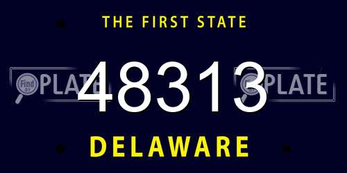 48313 Delaware License Plate