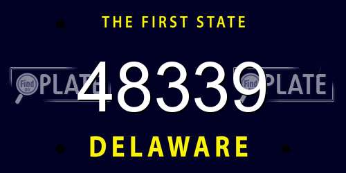 48339 Delaware License Plate