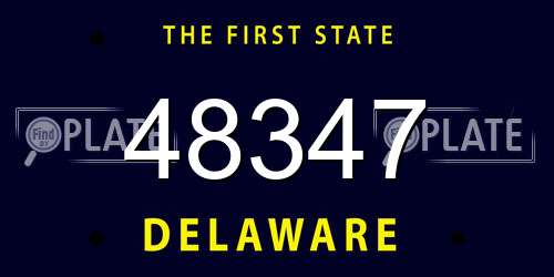 48347 Delaware License Plate