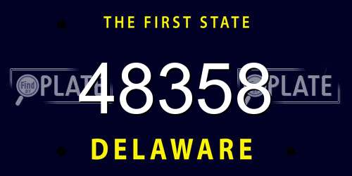 48358 Delaware License Plate