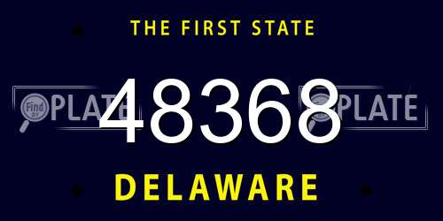 48368 Delaware License Plate
