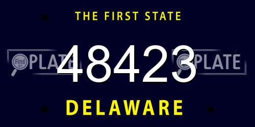 48423 Delaware License Plate