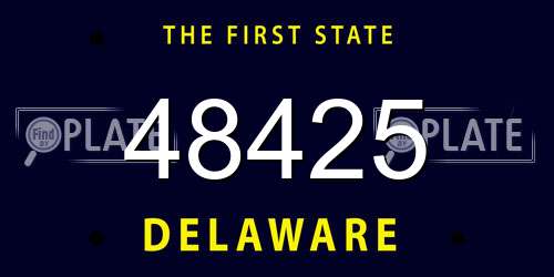 48425 Delaware License Plate