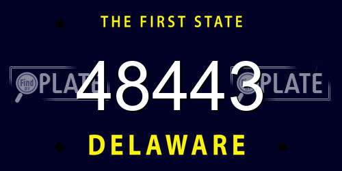 48443 Delaware License Plate