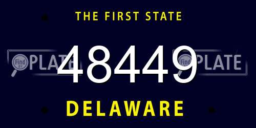 48449 Delaware License Plate