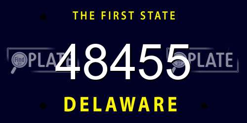 48455 Delaware License Plate