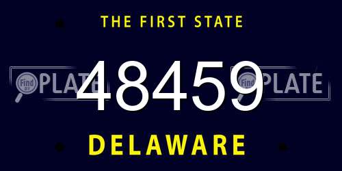 48459 Delaware License Plate