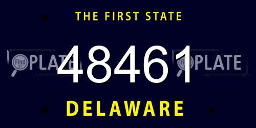 48461 Delaware License Plate