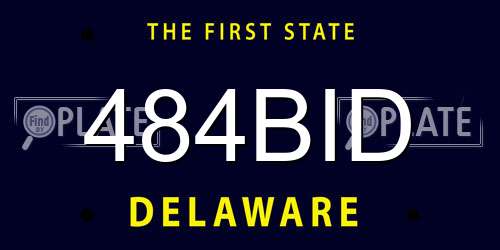 484BID Delaware License Plate