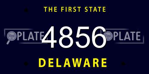 4856 Delaware License Plate