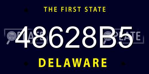 48628B5 Delaware License Plate