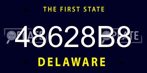 48628B8 Delaware License Plate