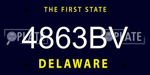 4863BV Delaware License Plate