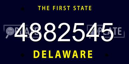 4882545 Delaware License Plate