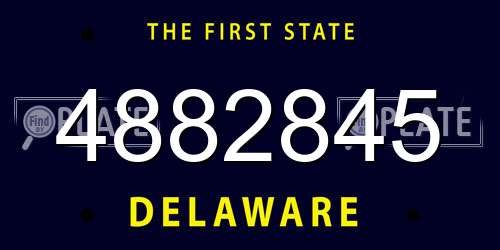 4882845 Delaware License Plate