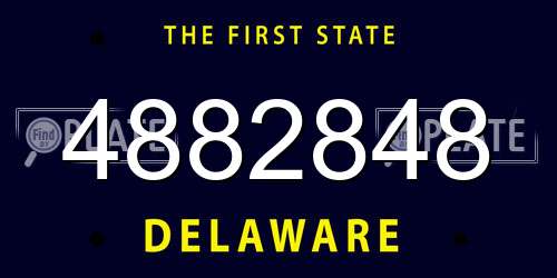 4882848 Delaware License Plate