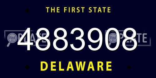 4883908 Delaware License Plate