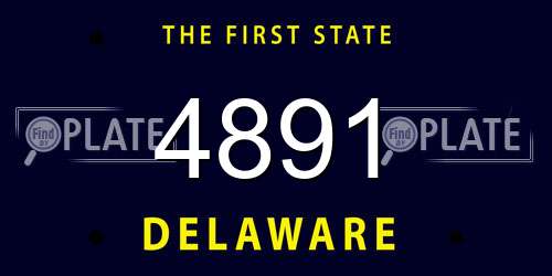 4891 Delaware License Plate