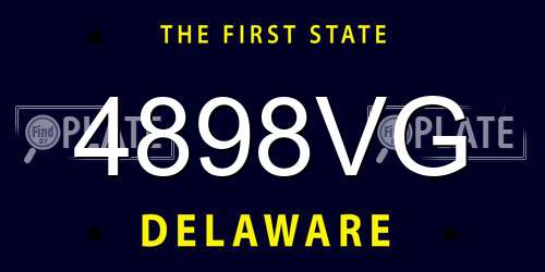 4898VG Delaware License Plate