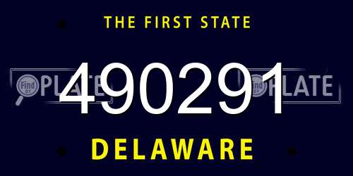 490291 Delaware License Plate