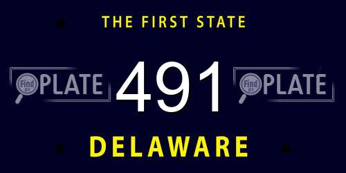 491 Delaware License Plate