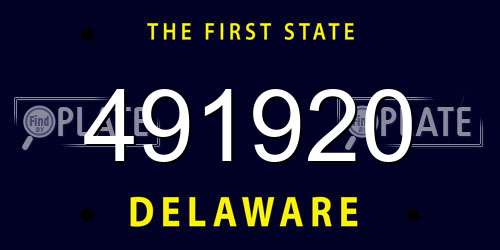 491920 Delaware License Plate