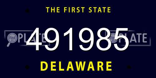491985 Delaware License Plate