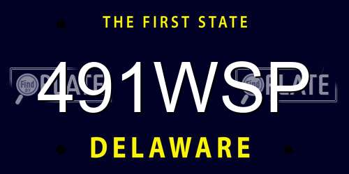 491WSP Delaware License Plate