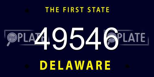 49546 Delaware License Plate
