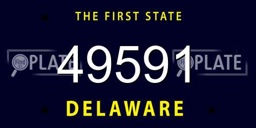 49591 Delaware License Plate