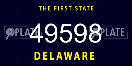49598 Delaware License Plate
