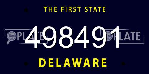 498491 Delaware License Plate