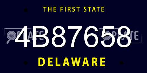 4B87658 Delaware License Plate
